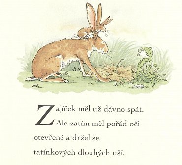 Náhled Hádej, jak moc tě mám rád!