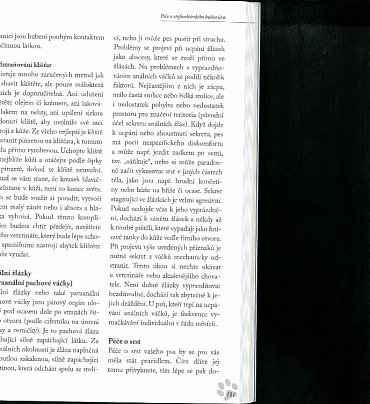 Náhled Stafordšírský bulteriér - Úplný přehled plemene