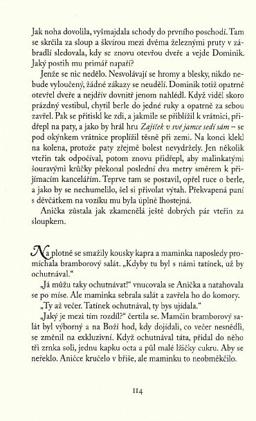 Náhled Střípek nebe