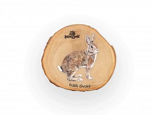 Magnet letokruh - Králík