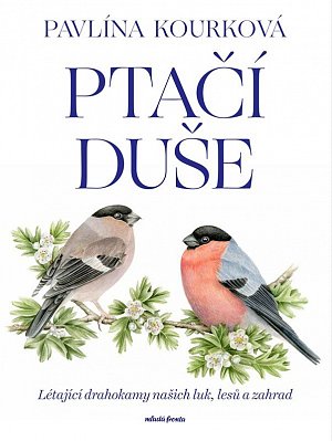 Ptačí duše - Létající drahokamy našich luk, zahrad a lesů