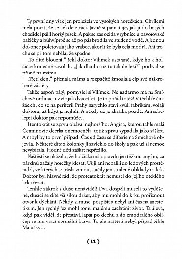 Náhled To je on! O té, co si říkala Toyen