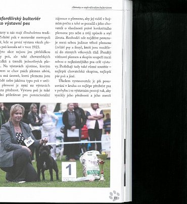 Náhled Stafordšírský bulteriér - Úplný přehled plemene