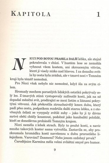 Náhled Kroniky Nicci, Sestry Temnot 1 - Paní smrt