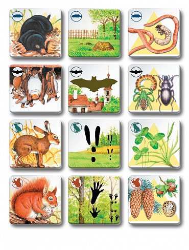 Náhled Pexetrio - Savci