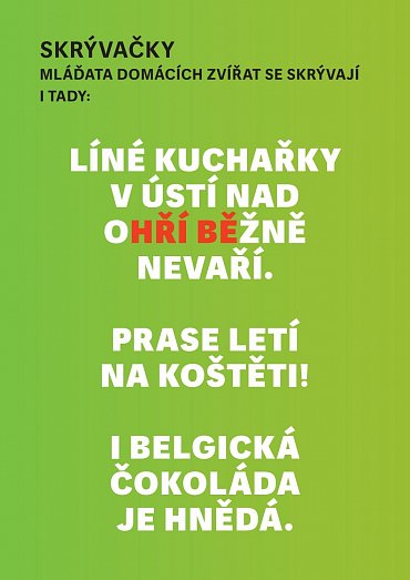 Náhled Bloudiště Ani bloudi nezabloudí