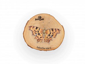 Magnet letokruh - Babočka bílé C