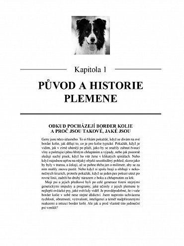 Náhled Border kolie od A do Z