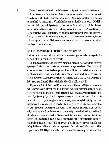 Náhled Synové světla v čase zkoušky - Rozprava mnicha o jednotě v protivenství