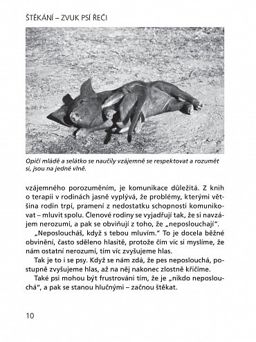 Náhled Štěkání - Zvuk psí řeči