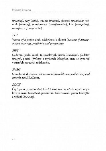 Náhled Všímavý terapeut - Vnitřní nazírání a nervová integrace - příručka pro klinickou praxi