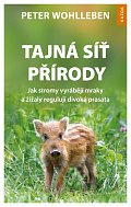 Tajná síť přírody - Jak stromy vyrábějí mraky a žížaly regulují divoká prasata