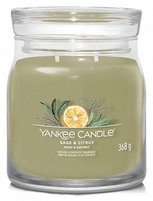YANKEE CANDLE Sage & Citrus svíčka 368g / 2 knoty (Signature střední)