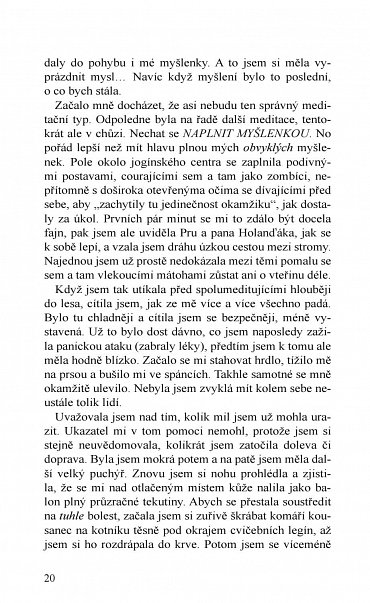 Náhled Kam včely chodí spát