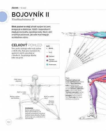 Náhled Jóga z pohledu anatomie