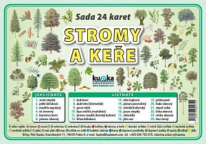 Sada 24 karet - stromy a keře