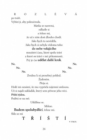 Náhled Co jsme si nikdy neřekli, 1.  vydání