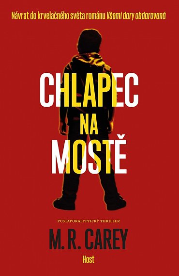 Náhled Chlapec na mostě