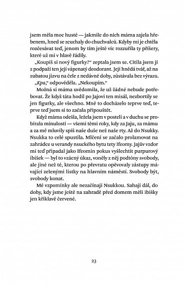 Náhled Purpurový ibišek