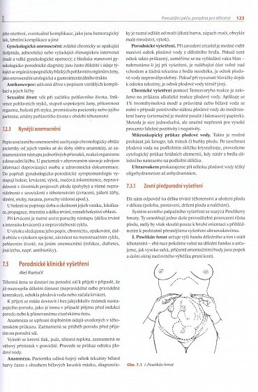 Náhled Moderní porodnictví