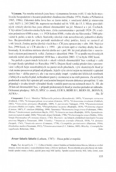 Náhled Ptáci 1 - Fauna ČR