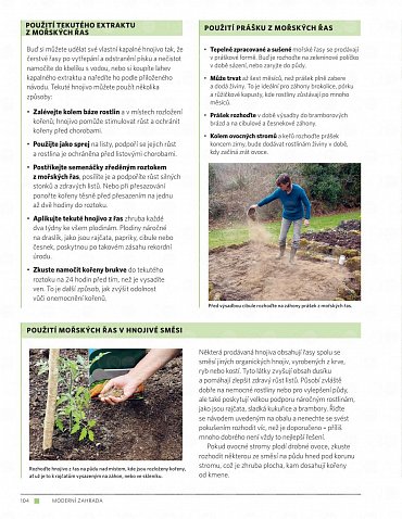 Náhled Moderní zahrada