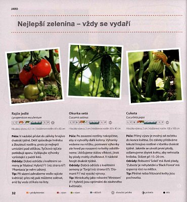 Náhled Zábava na zahradě - Rady pro začátečnice