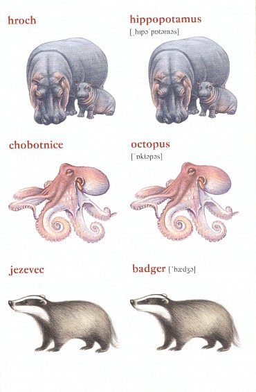 Náhled Pexeso zvířátka AČ-ČA 2