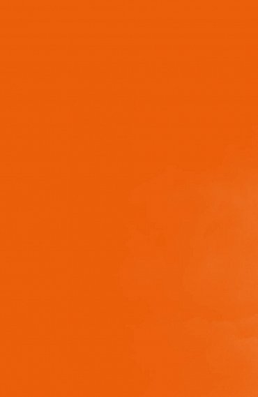 Náhled Nasterea, 1.  vydání