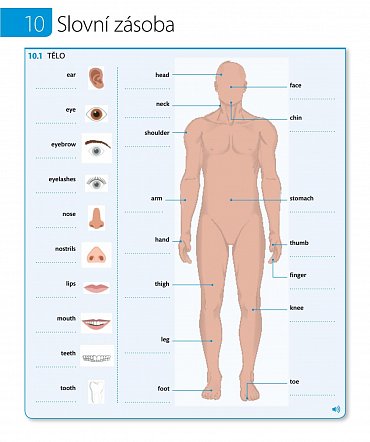 Náhled Angličtina pro každého, učebnice, úroveň 3, Intermediate