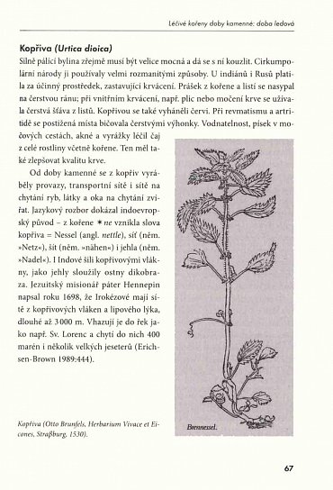 Náhled Pradávná medicína - Kořeny medicíny z dávné minulosti