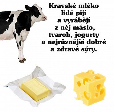 Náhled Statek - Moje malá knížka