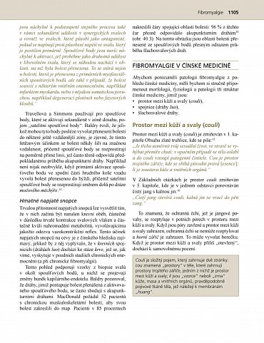 Náhled Praxe čínské medicíny - Léčba onemocnění pomocí akupunktury a čínských léčivých směsí