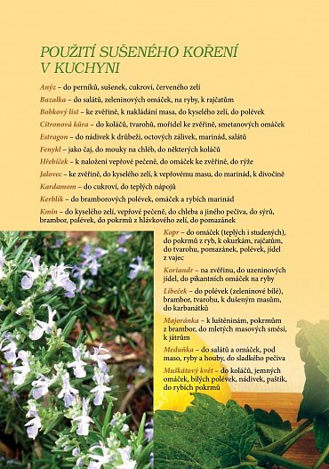 Náhled Tradiční svátky a recepty ze šumavské vesnice