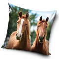 Povlak na polštářek Koně Hnědáci