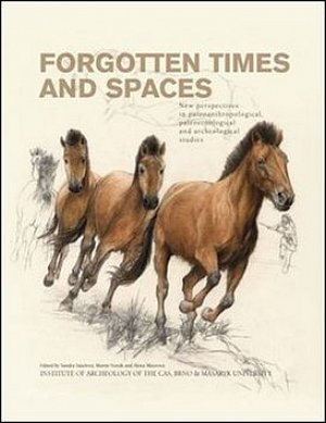 Forgotten Times and Spaces: New perspectives in paleoanthropological, paleoetnological and  archeological studies