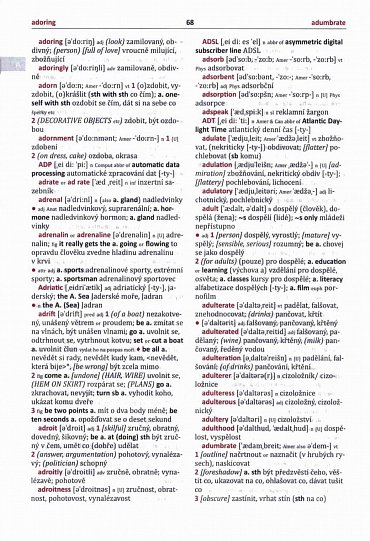 Náhled Velký AČ slovník - Fronek (2 knihy)