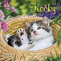 Kalendář 2026 Kočky, nástěnný, 33 x 33 cm