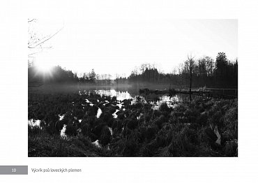 Náhled Výcvik psů loveckých plemen