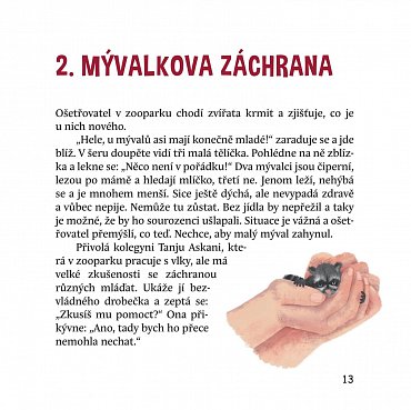Náhled Dobrodružství medvídka mývala