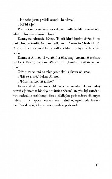 Náhled Ze sídliště