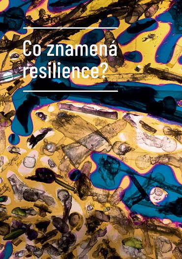 Náhled Posilování stresem - Cesta k odolnosti