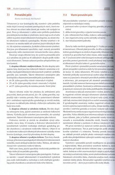 Náhled Moderní porodnictví