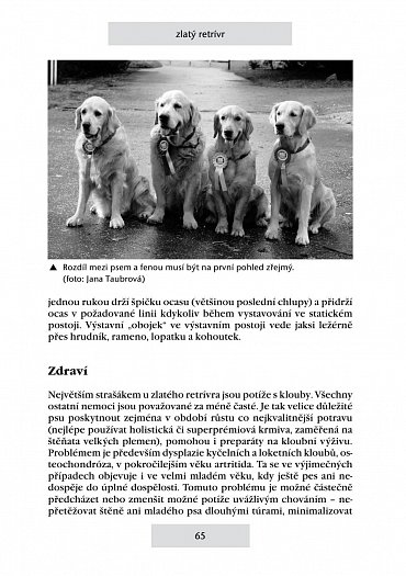 Náhled Retrívři a vodní psi