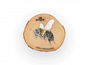 Magnet letokruh - Včela