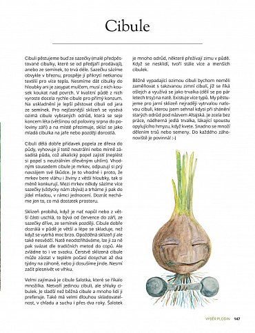 Náhled Zelenina z ekozahrady pro radost i soběstačnost