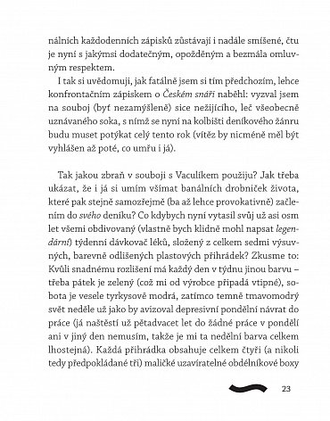 Náhled Zrušený rok – Deník 2020