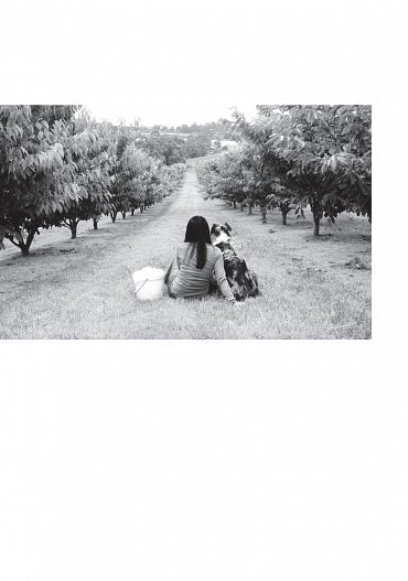 Náhled Jaký typ je váš pes? - Přizpůsobte tréninkové metody povaze svého psa