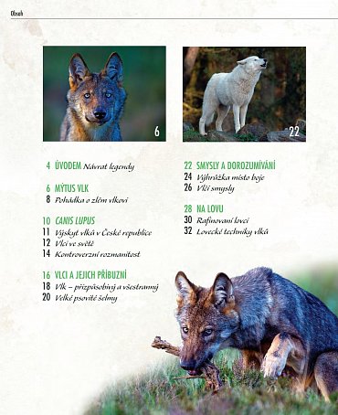 Náhled Vlci - Na toulkách s fotografem zvířat Axelem Gomillem