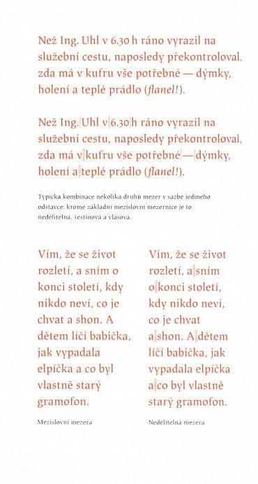 Náhled Knihy a typografie